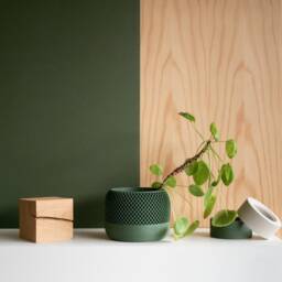 Indoor Wood Planter - Apple Green - thumbnail 2