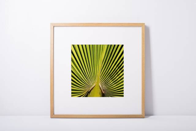 "Digital Download, Printable Art, Desert Print, Colorful Wall Decor, Botanical Modern Abstract Art ""Green Leaf" - image 1
