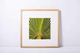 "Digital Download, Printable Art, Desert Print, Colorful Wall Decor, Botanical Modern Abstract Art ""Green Leaf" - thumbnail 1