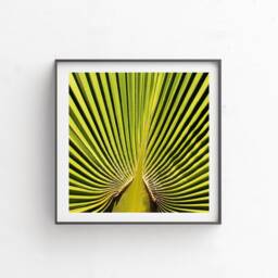 "Digital Download, Printable Art, Desert Print, Colorful Wall Decor, Botanical Modern Abstract Art ""Green Leaf" - thumbnail 3