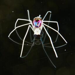 Colourful Spider Wall Art - thumbnail 3