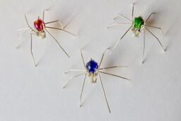 Colourful Spider Wall Art