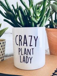 Plant Pot, Planter, Cactus Christmas Gift, Gift For Women, Funny Plant Her, Friend Birthday - thumbnail 1