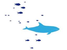 Large Whale & 17 Fish Wall Decal For Kids Room ~ Nautical Nursery Available in Different Colors Boy Bathroom Stickers