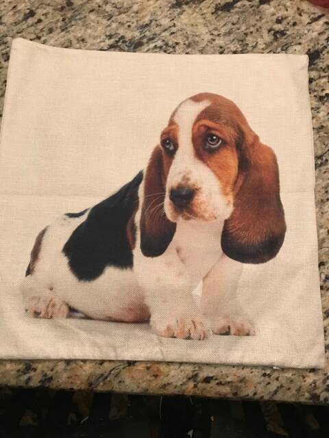 Basset Hound Puppy Pillow Case