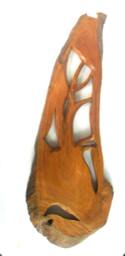 "Wood Carving Deer Head Teak Hand Craved Wall Hanging Home Decor Handmade Driftwood/Gift 26.5"" X 9.75" - thumbnail 4