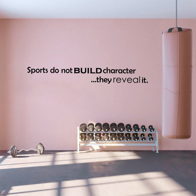 Sports Character - 0351, Wall Art Decal, Transfer, Mural, Sticker, 75 Colours, 5 Sizes, Interior Or Exterior Use , Easy To Apply - image 1