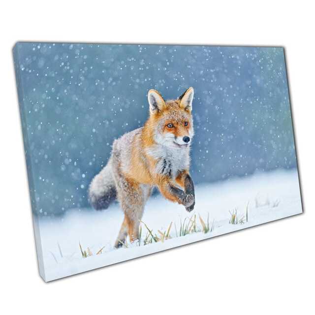 Serene Snowy Meadow Fox Photography Wild Animal Canvas Print For Home & Office Wall Decor - image 1