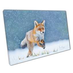 Serene Snowy Meadow Fox Photography Wild Animal Canvas Print For Home & Office Wall Decor - thumbnail 1