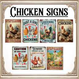 Tin Sign Beware Chickens At Play Chicken Funny Coop Vintage Garden Wall Art Lover Gift - thumbnail 4