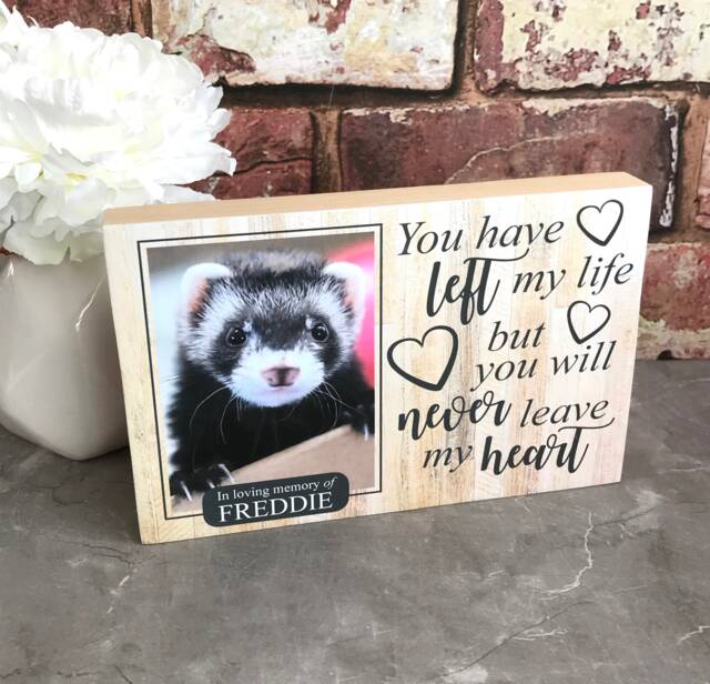 Ferret Memorial Gift, Memorial, Pet Frame, Plaque, Photo Dog Picture Cat - image 1