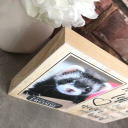Ferret Memorial Gift, Memorial, Pet Frame, Plaque, Photo Dog Picture Cat - thumbnail 2