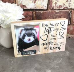 Ferret Memorial Gift, Memorial, Pet Frame, Plaque, Photo Dog Picture Cat