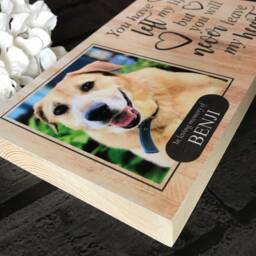 Ferret Memorial Gift, Memorial, Pet Frame, Plaque, Photo Dog Picture Cat - thumbnail 4