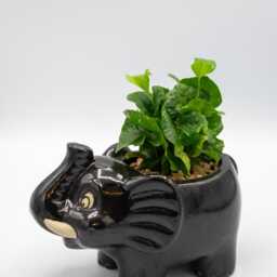 Large Ceramic Elephant Planter Disney's Animal Kingdom Inspired - thumbnail 2