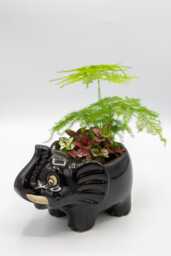 Large Ceramic Elephant Planter Disney's Animal Kingdom Inspired - thumbnail 1