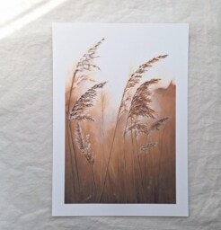 Natural Wheat Grass Print Beige Brown Landscape Art Painting - thumbnail 1