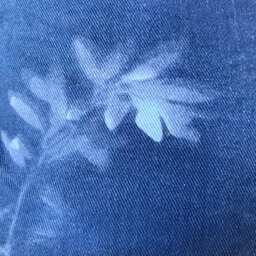 Cyanotype Pillow - thumbnail 3
