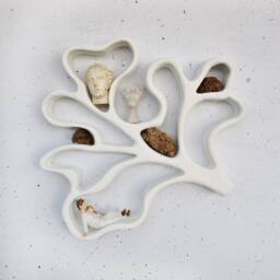 Large Handmade Curio Shelf , Oddities Shelf, Curiousity Shelf, Curio Shelf, Wall Altar, Niche Nature Shelf, Unique Wall Shelf, Crystal Shelf - thumbnail 2