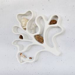 Large Handmade Curio Shelf , Oddities Shelf, Curiousity Shelf, Curio Shelf, Wall Altar, Niche Nature Shelf, Unique Wall Shelf, Crystal Shelf - thumbnail 3