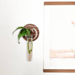 Golden Ratio Flower Circle Propagation Wall Vase