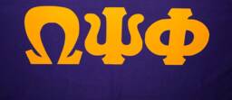 Omega Psi Phi Stadium Blanket