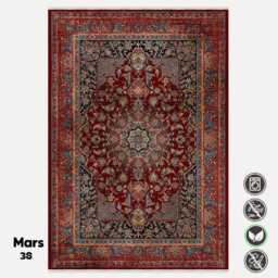Red Medallion Chenille Rug Washable Navy Floral Border, Traditional Style - thumbnail 3