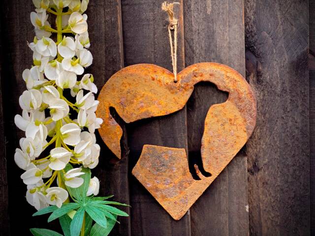 Love Heart Patterdale Terrier Dog Pet Memorial Horse Rusty Rustic Art Wall Hanging Present Gift Idea