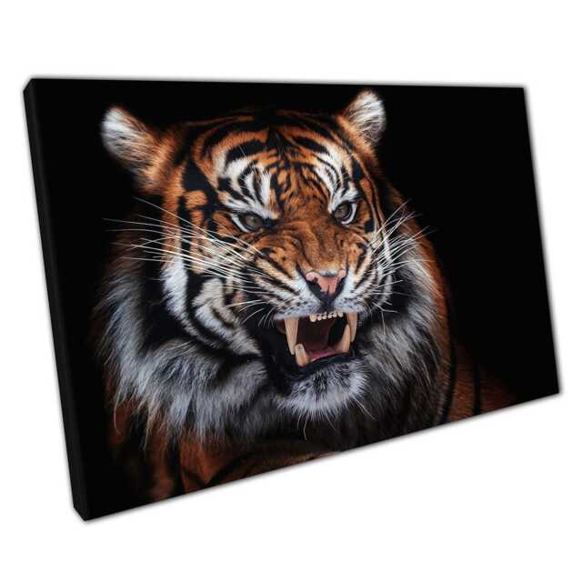 Majestic Sumatran Tiger Endangered Wildlife Photography Canvas Print For Home & Office Decor - image 1