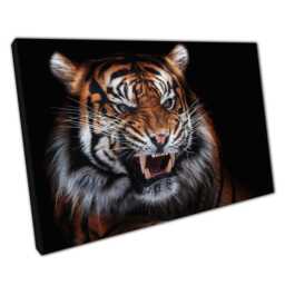 Majestic Sumatran Tiger Endangered Wildlife Photography Canvas Print For Home & Office Decor - thumbnail 1