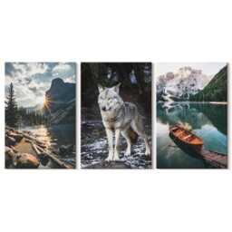 Canvas Art Set Of 3 - Mountains, Lakes & A Wolf in Natural Setting, Gray Print, Landscapes Wall Decor - thumbnail 3