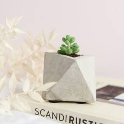 Geometric Concrete Air Plant Holder Triangular Modern Decor - thumbnail 2