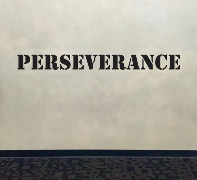 Motivational Wall Decal, Fitness Classroom Decor, Perseverance Stencil Font Gym Decal - image 1