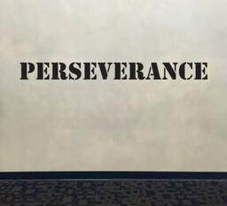 Motivational Wall Decal, Fitness Classroom Decor, Perseverance Stencil Font Gym Decal - thumbnail 1