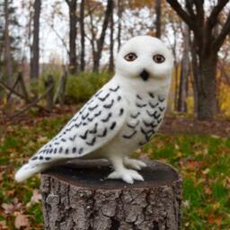 Mr. Snowy Owl, Needle Felted Bird Sculpture 12 Inches