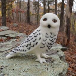 Mr. Snowy Owl, Needle Felted Bird Sculpture 12 Inches - thumbnail 3