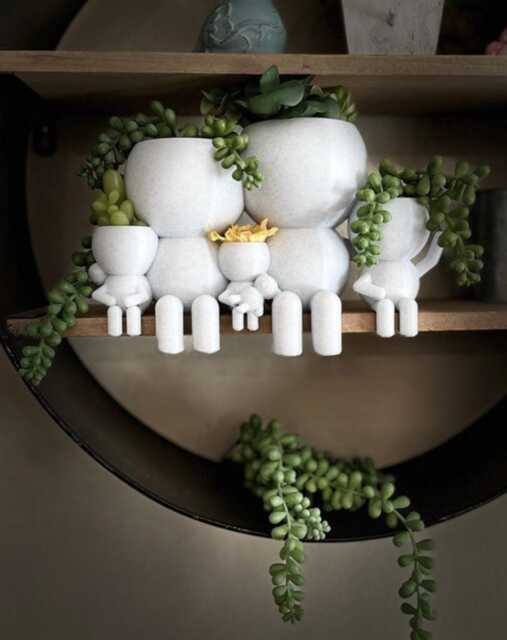 "Family Of 5 Gift Succulent Planter Airplant Holder ""Wee Jimmy's Five" - image 1
