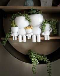 "Family Of 5 Gift Succulent Planter Airplant Holder ""Wee Jimmy's Five" - thumbnail 1