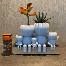"Family Of 5 Gift Succulent Planter Airplant Holder ""Wee Jimmy's Five" - thumbnail 3