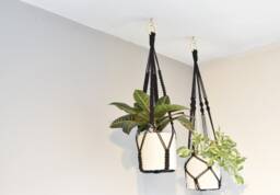 Macrame Plant Hanger No Tassel Indoor, Black Hanging Planter, Indoor Wall Hanging, Lover Gift