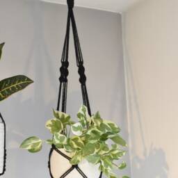 Macrame Plant Hanger No Tassel Indoor, Black Hanging Planter, Indoor Wall Hanging, Lover Gift - thumbnail 4