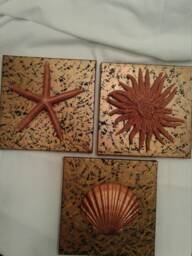 Three Piece Seashells Wall Decor - thumbnail 1