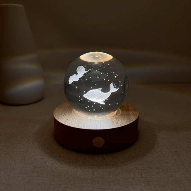 Custom Dolphin Glass Ball Night Light, Moon Marine Lamp, 3D Bedside Fish Desk Ocean Sphere Summer Decor - image 1