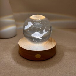 Custom Dolphin Glass Ball Night Light, Moon Marine Lamp, 3D Bedside Fish Desk Ocean Sphere Summer Decor - thumbnail 4