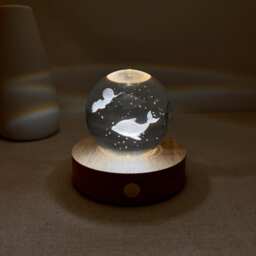 Custom Dolphin Glass Ball Night Light, Moon Marine Lamp, 3D Bedside Fish Desk Ocean Sphere Summer Decor - thumbnail 1