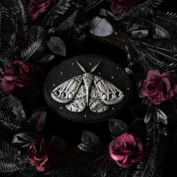 starry Gothic Moth Oval Plaque/Mystical Wall Decor By House Of Persephone Handmade Entomolgy Art Unusual Witchy Sculpture Gift - thumbnail 2