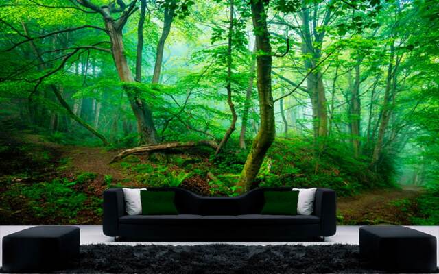 Forest Wall Mural Nature Removable Wallpaper Green Tree in Deep Forest Self-Adhesive Large Wallpaper Mysterious Dense Forested Art - image 1