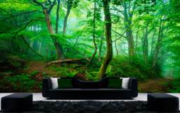 Forest Wall Mural Nature Removable Wallpaper Green Tree in Deep Forest Self-Adhesive Large Wallpaper Mysterious Dense Forested Art - thumbnail 1