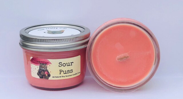 Sour Puss Natural Soy Wax Scented Cat Candle With Wood Wick - image 1