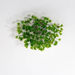 Flush Mount Lighting, Ceiling Light Fixture With Green Jumping Flowers , Elegant Sconces For Or Wall - thumbnail 3